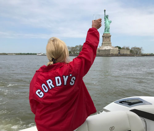 person looking at statue of liberty