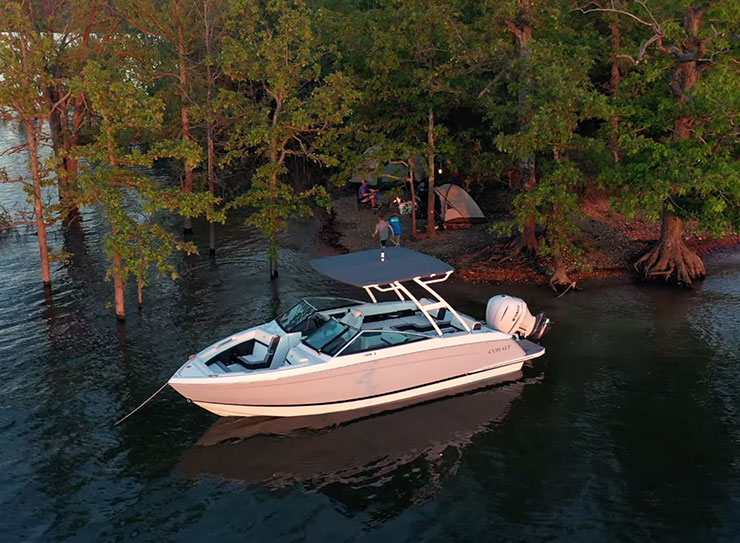 boat anchored by shore