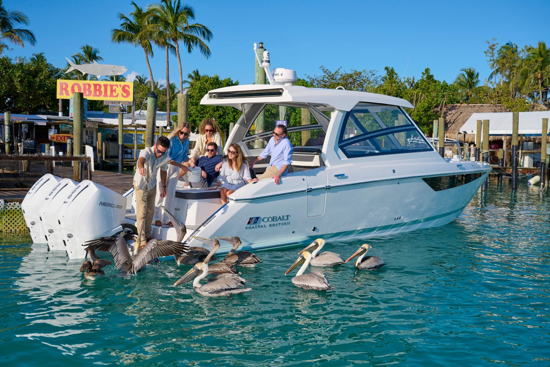 people feeding birds on a boat