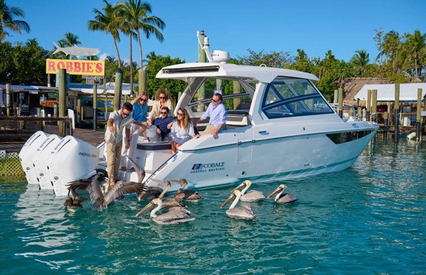 people feeding birds on boat