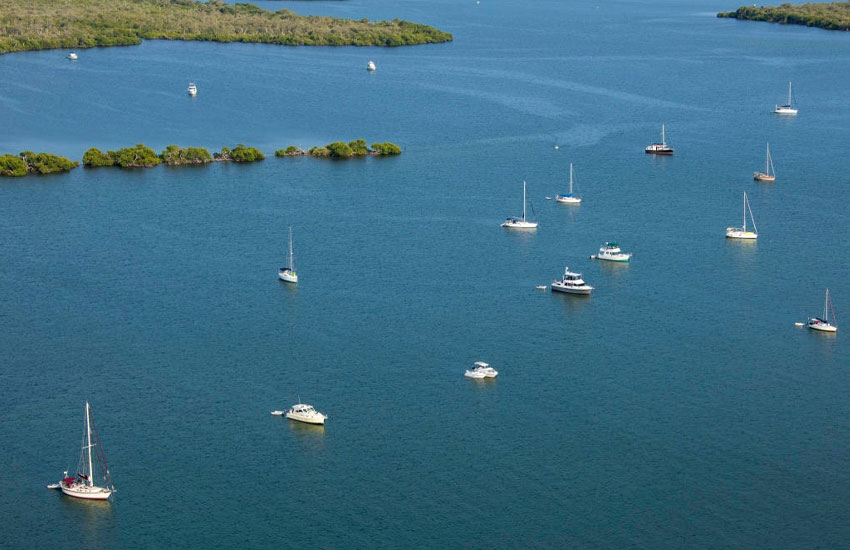 Pine Island