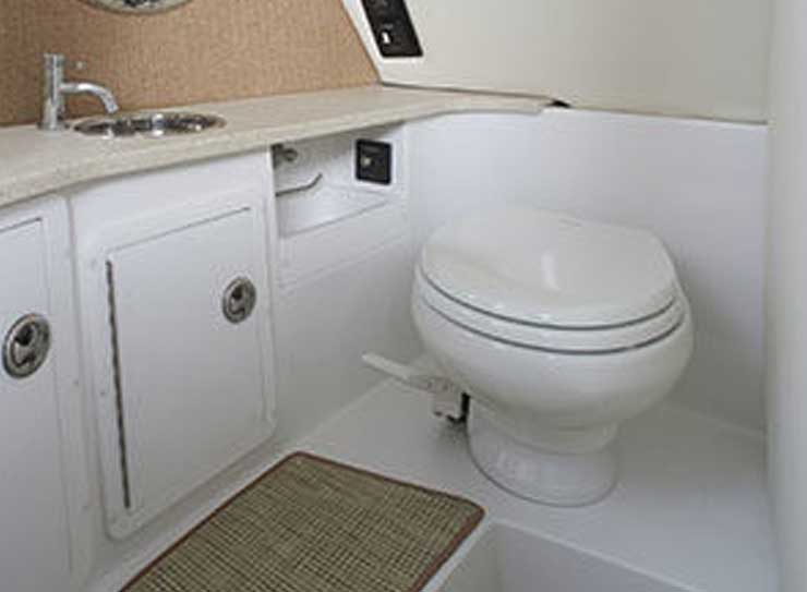 Electric Flush Toilet