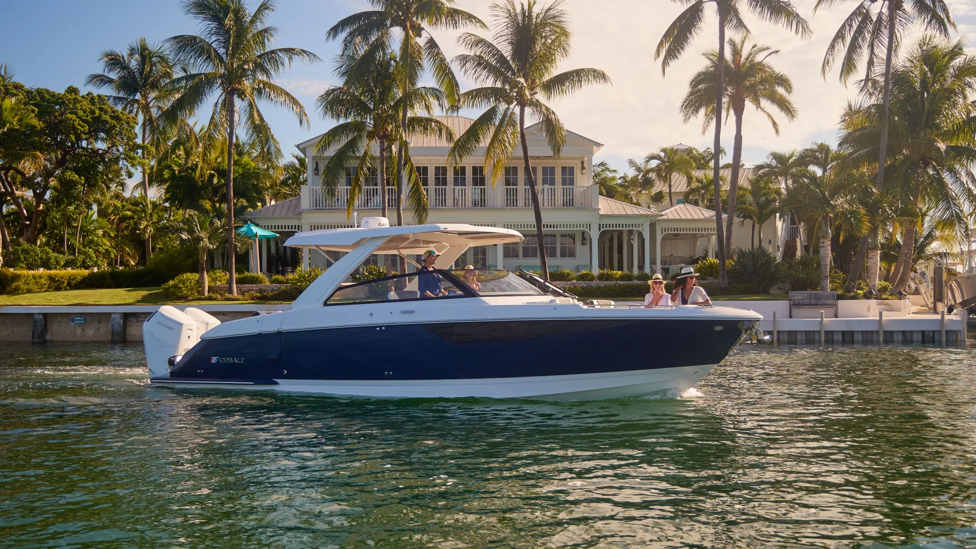 Boat and palm trees